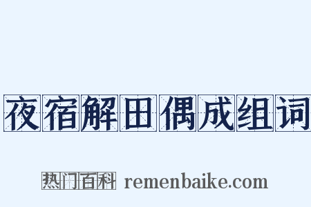 夜宿解田偶成组词是什么意思的图片